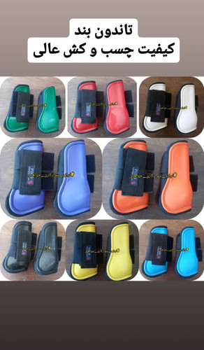 تاندونبند کوتاه اسب محافظ حرفهای