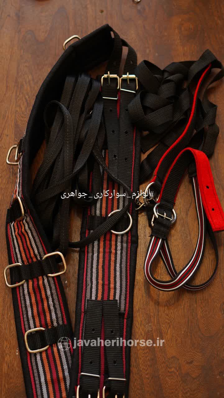 ست آموزش جفت زدن و درساژ